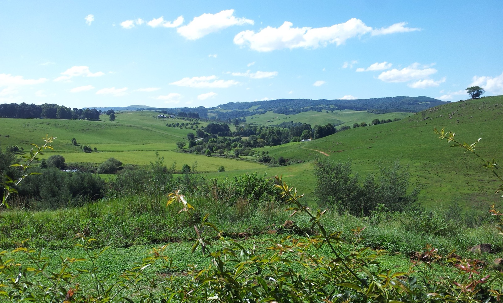 KZN Midlands hills and countryside near Howick