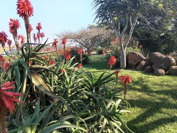 Property in Merrivale Heights, Howick